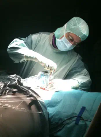 Clinical setting used for injury recovery and post-accident treatment planning